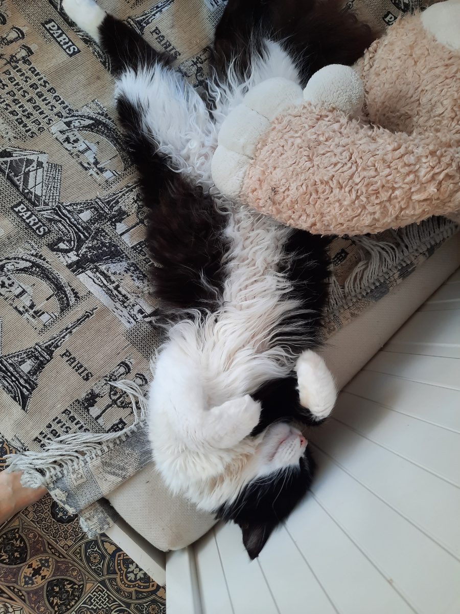 Фото автора