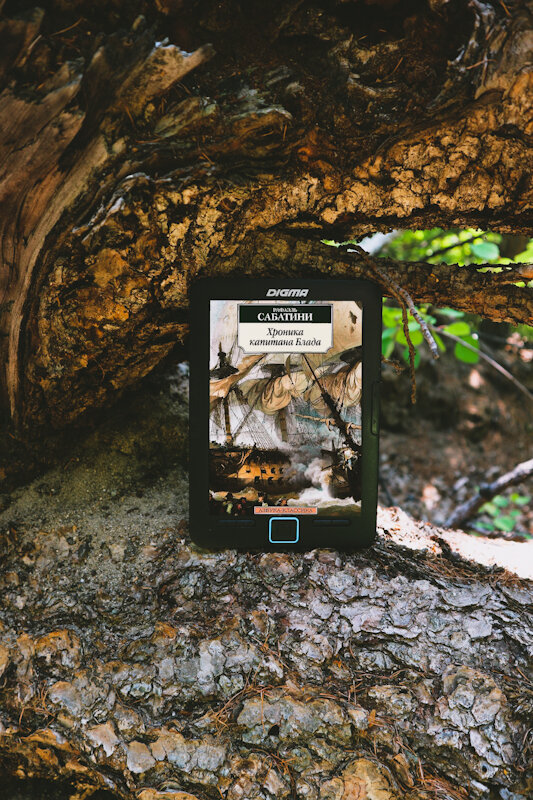 #книжныйманьяк #книгоголик #хроникикапитанаблада #итальянскаялитература #английскаялитература #мирдолжензнатьчтоячитаю 