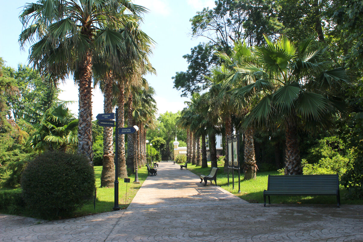 Центральная аллея парка при входе