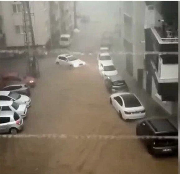 Из соц. сети.