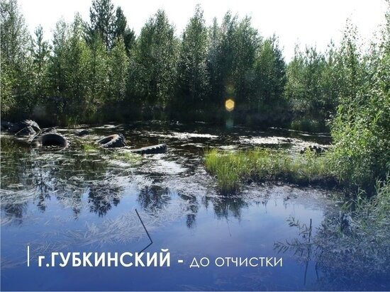 ФОТО: ДЕПАРТАМЕНТ ПРИРОДНЫХ РЕСУРСОВ И ЭКОЛОГИИ ЯНАО