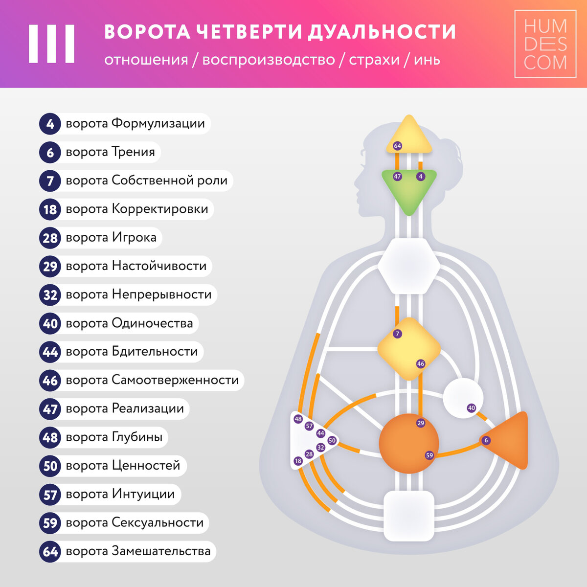 Четверти в Дизайне Человека | Humdes — Путеводитель по Дизайну Человека |  Дзен