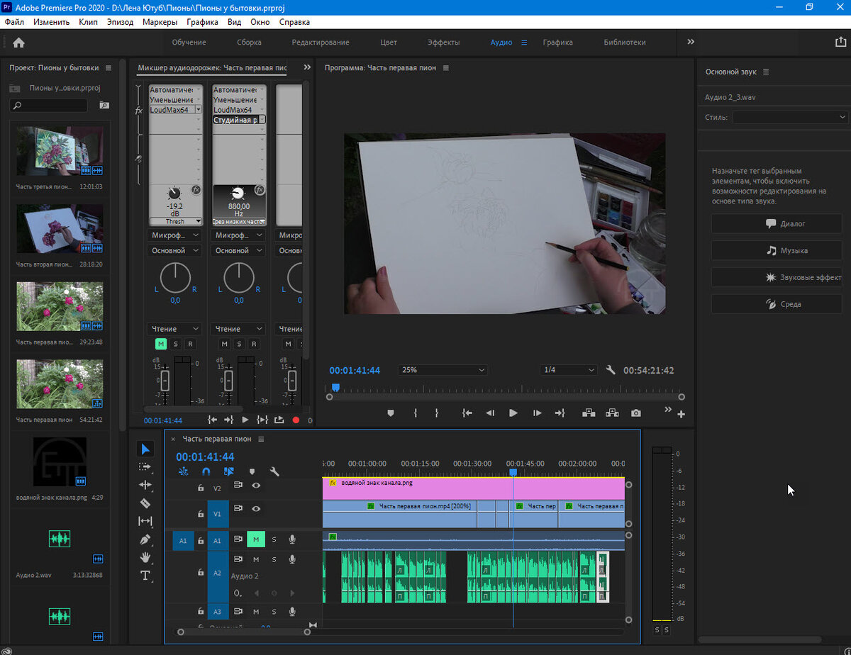 Купить лицензию Premiere Pro - Pro for enterprise ALL Multiple Platforms Multi E