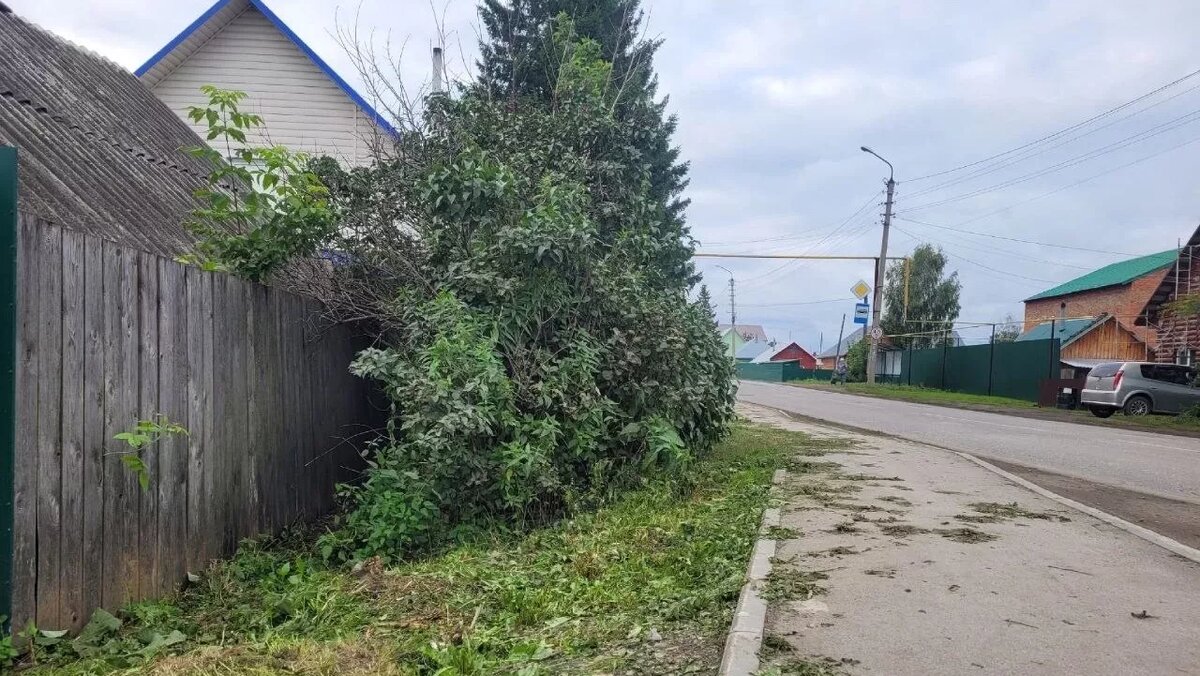 Труп 54-летнего мужчины нашли возле жилого дома в городе Болотное |  НДН.ИНФО | Дзен