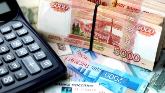    Счетная палата РФ выявила бюджетные нарушения на 1,6 триллиона рублей за 2022 год Анна Белая