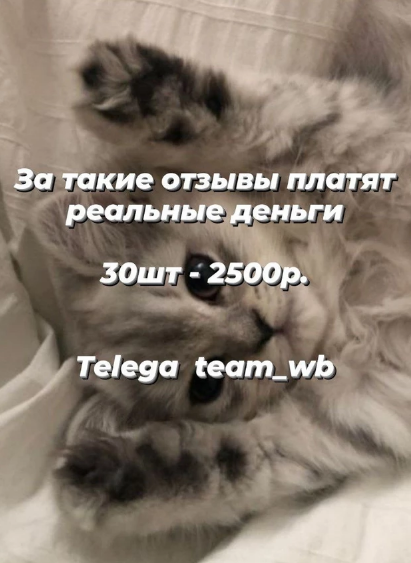 photo by wildberries