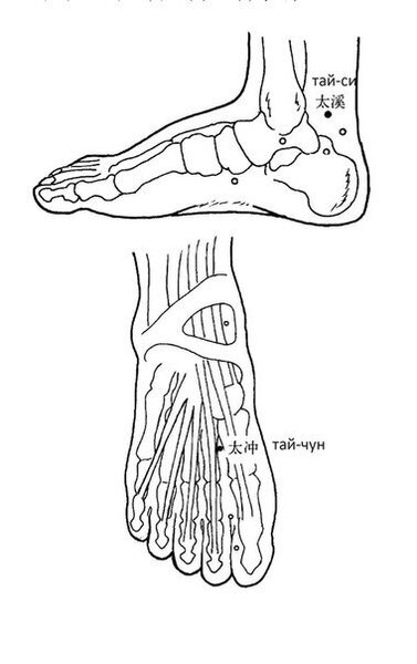 Многие точки канала почек помогают лечить эти болезни, нужно почаще их стимулировать, заставлять работать. Мы знаем, что Тай Си лечит это, Жань Гу – то, Юн Цюань третье, но непременно нужно, чтобы эти точки заработали, ожили. Вы скажете, что я написал, что Тай Си лечит боль и сухость в горле, но не говорили, что Жань Гу лечит эти симптомы, поэтому я не продавливал точку Жань Гу.