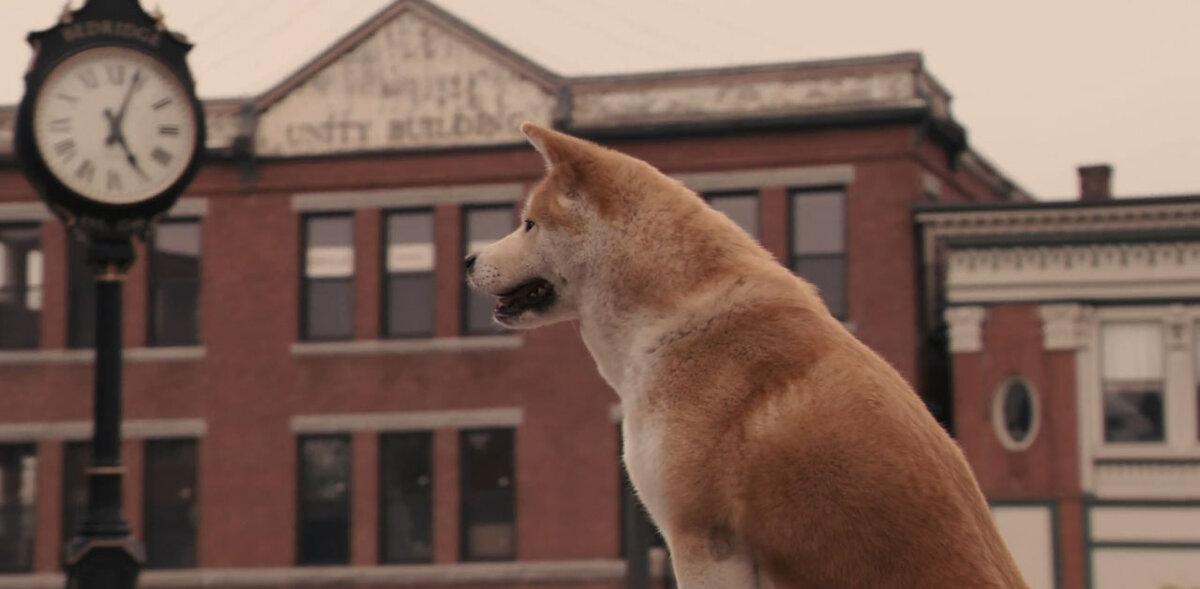 «Подлинная история веры, преданности и вечной любви»