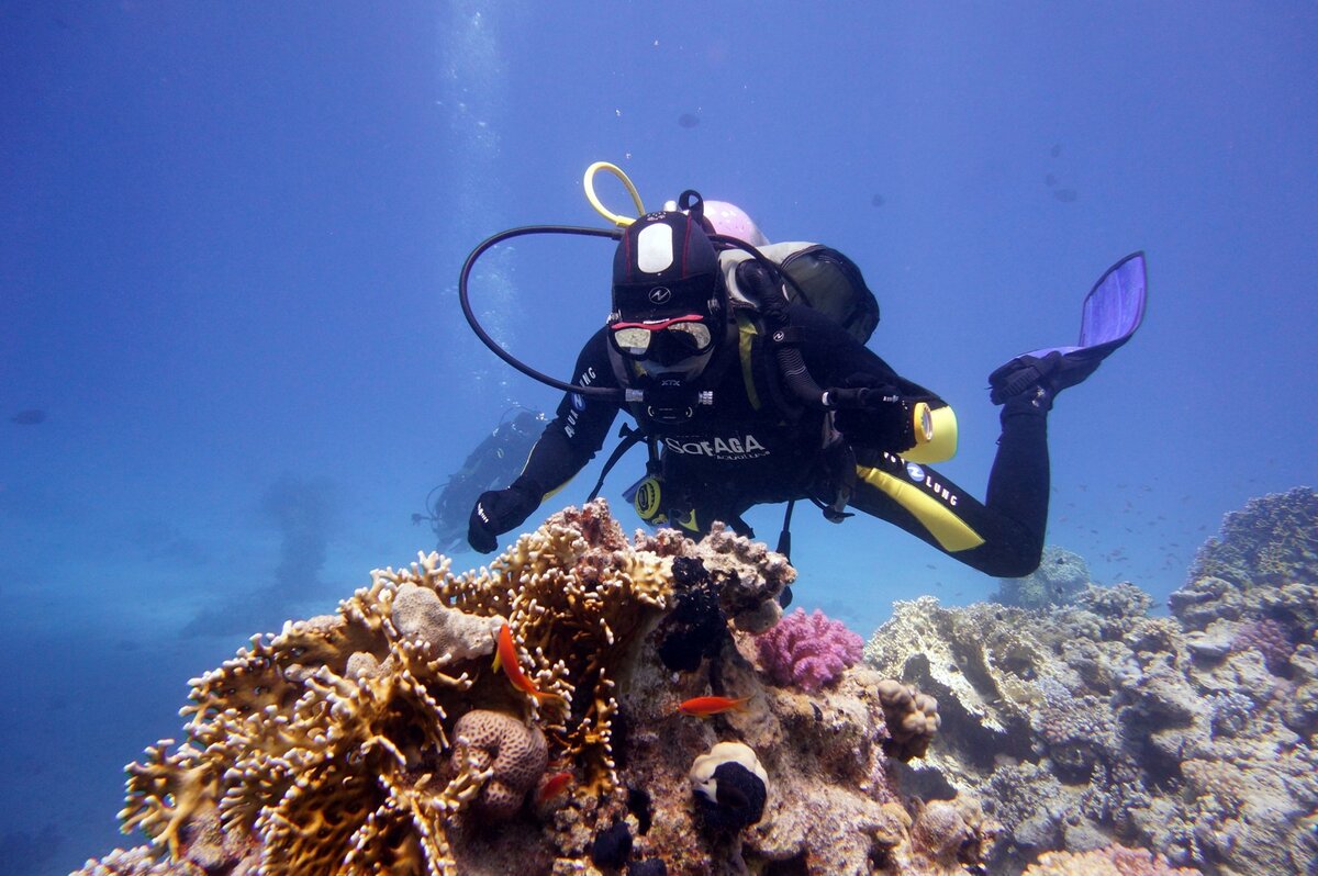 Дайвинг в Шарм-Эль-Шейхе