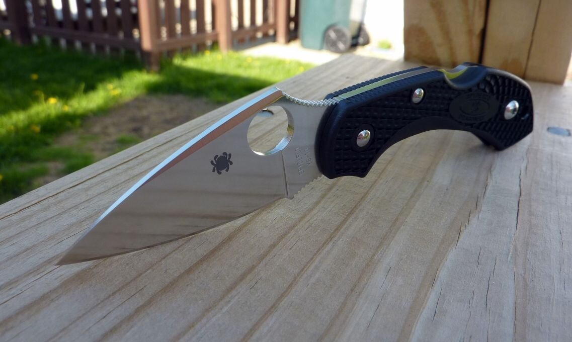 Spyderco dragonfly. Нож Spyderco Dragonfly 2. Спайдерко Драгонфлай. C28pbk Spyderco. Spyderco Dragonfly Custom.