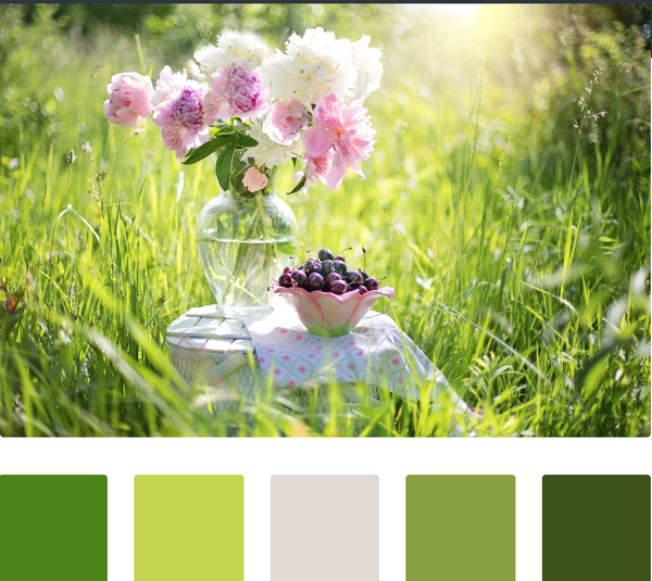 Моя палитра №1