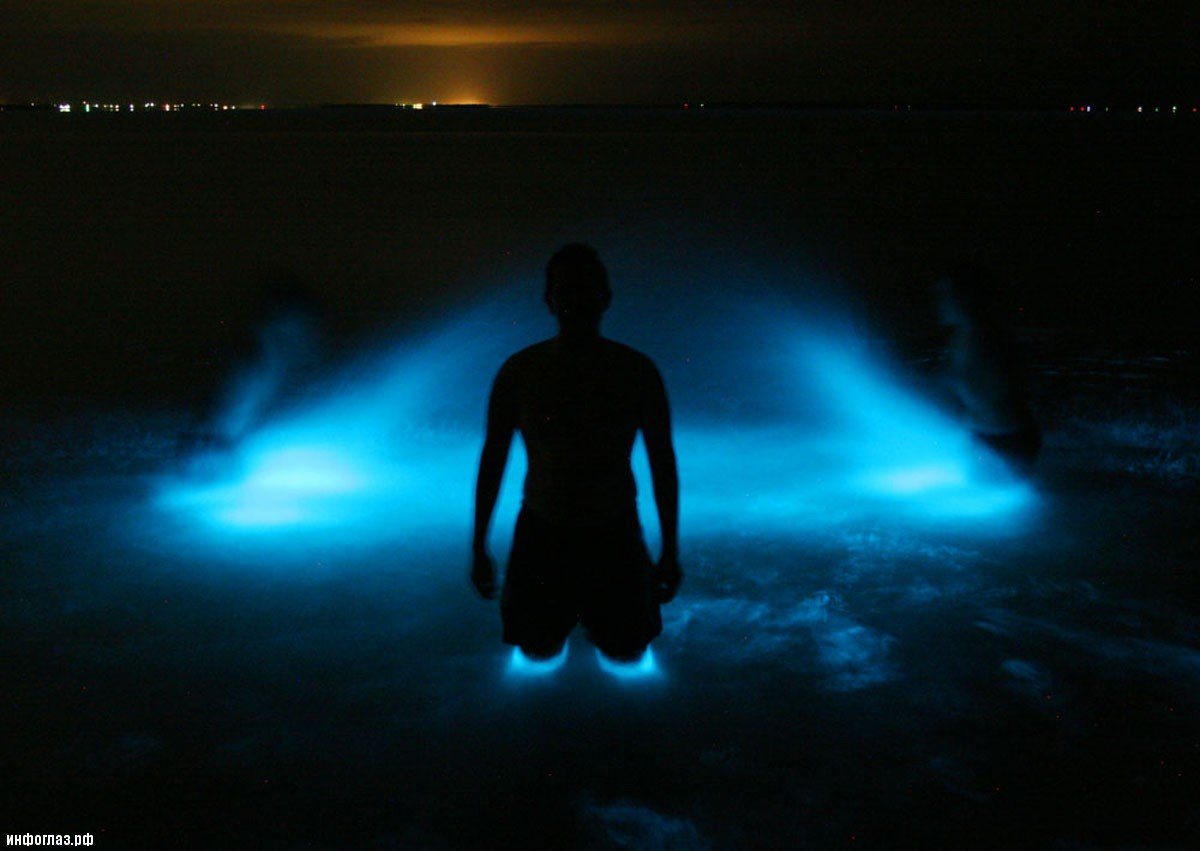 Ночью тело горит. Озеро Гипселенд Австралия. Светящееся озеро Гипселенд в Австралии. Озеро Джипсленд Австралия. Светящиеся озера Гиппсленд Австралия.