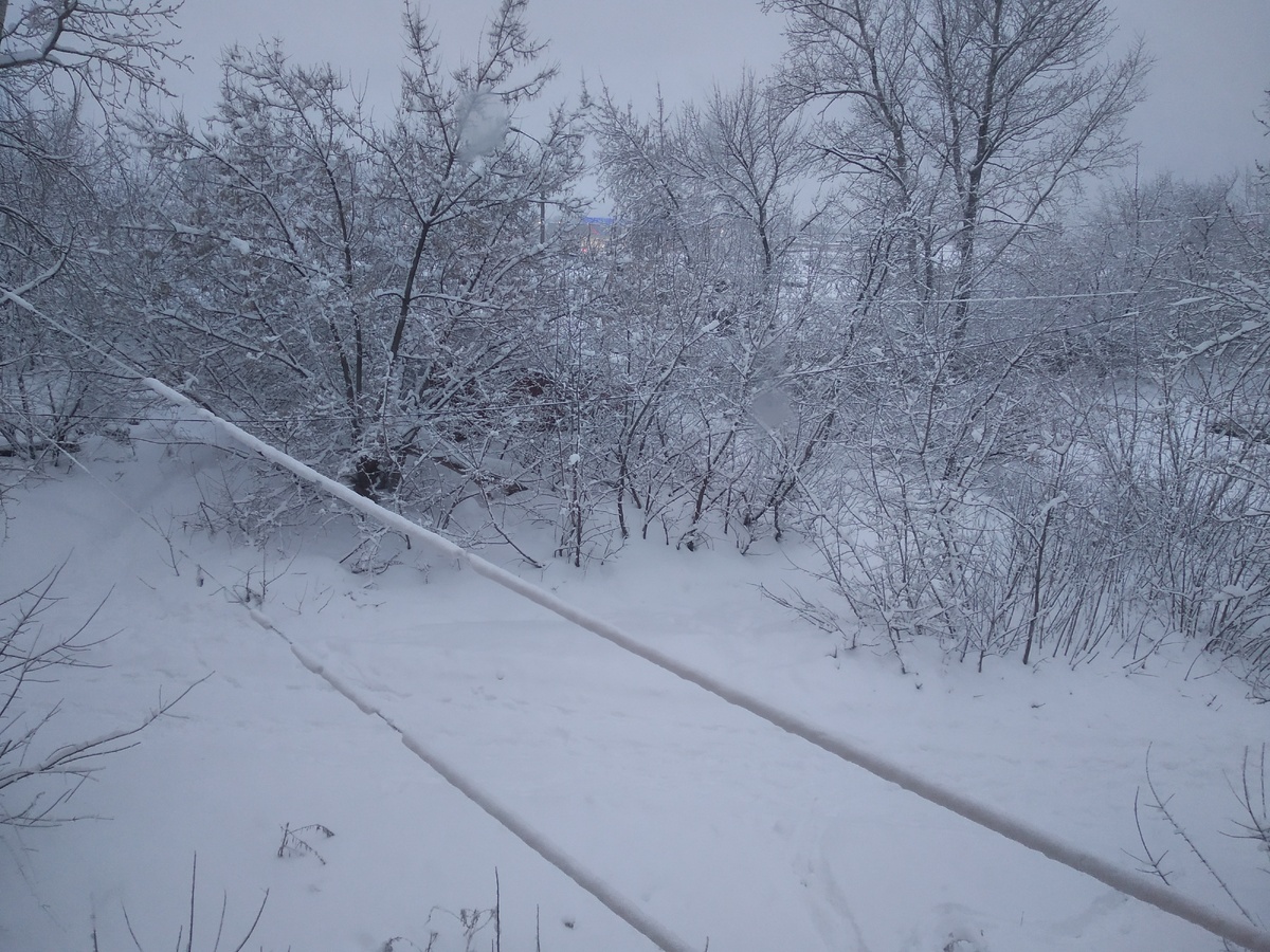 пусть будет опять снег. потому что то, что протаивает сейчас из-под него - в разы хуже. )