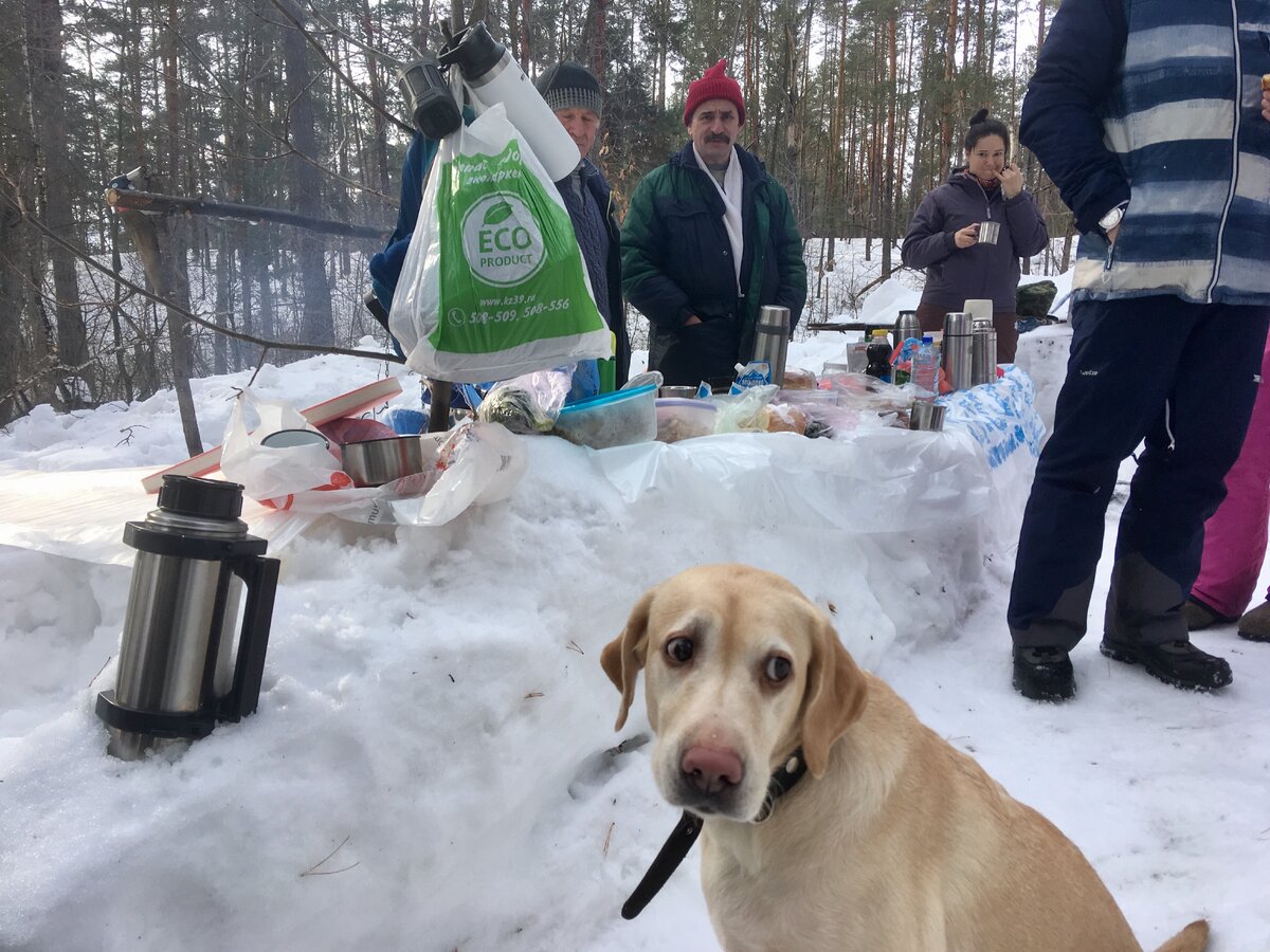 В этот раз с нами была эта милая собака