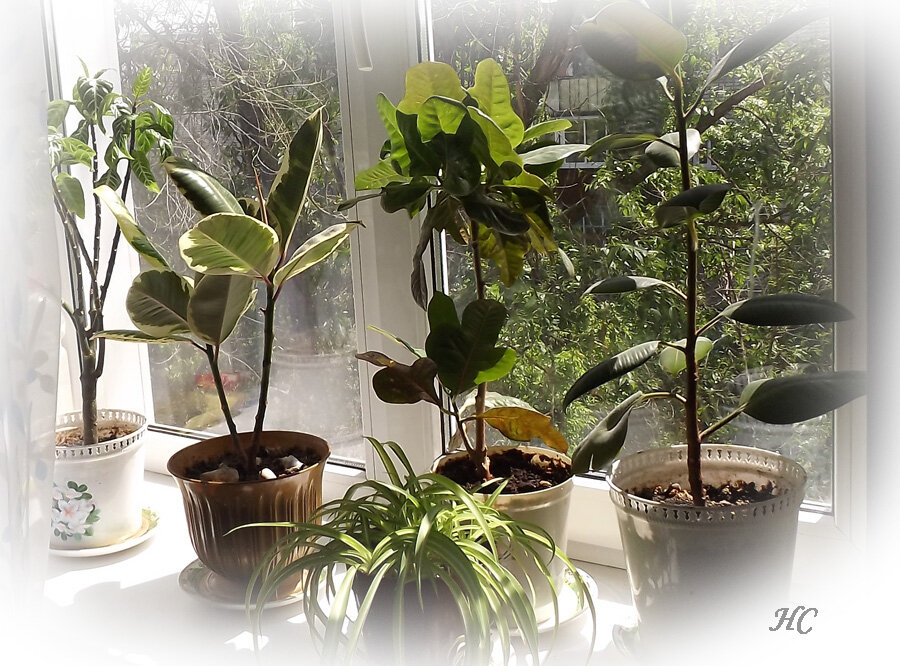 Фото Нины Стрелковой.