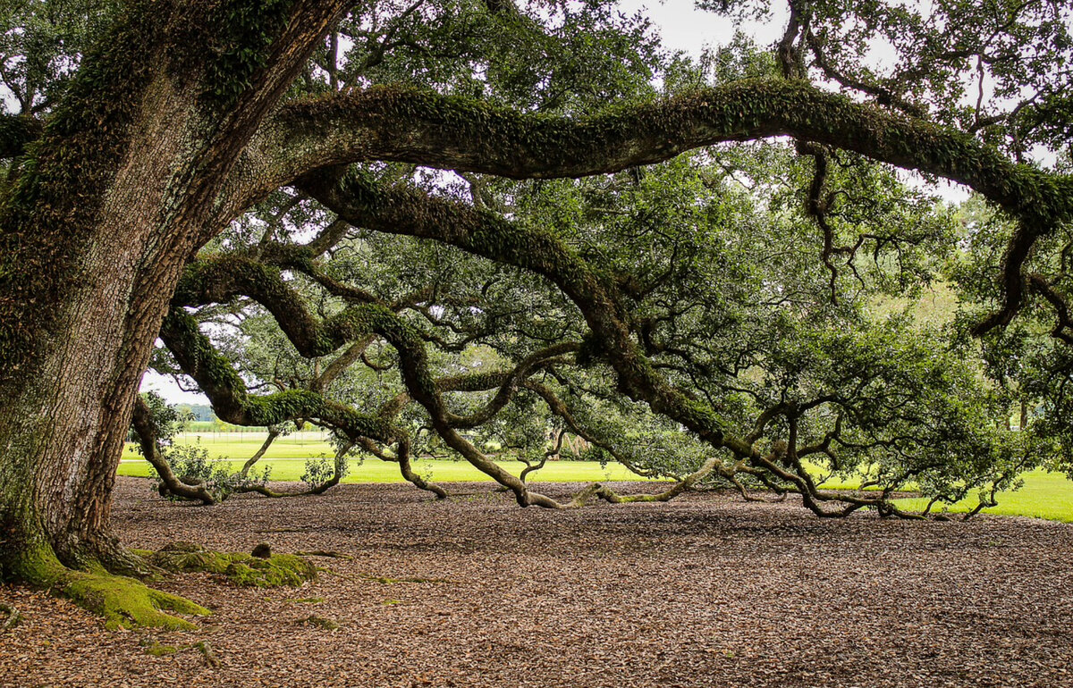 Фото канал OBRAZ