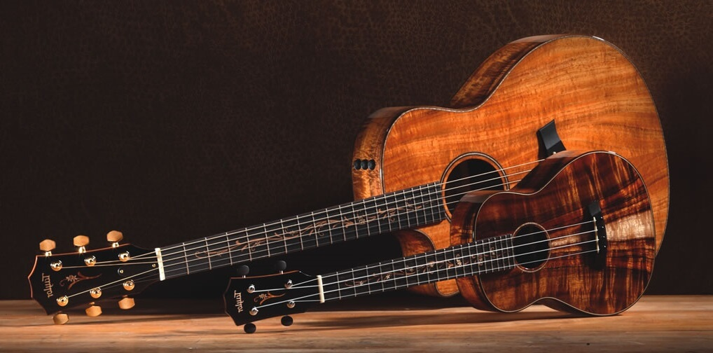 Гитара и укулеле