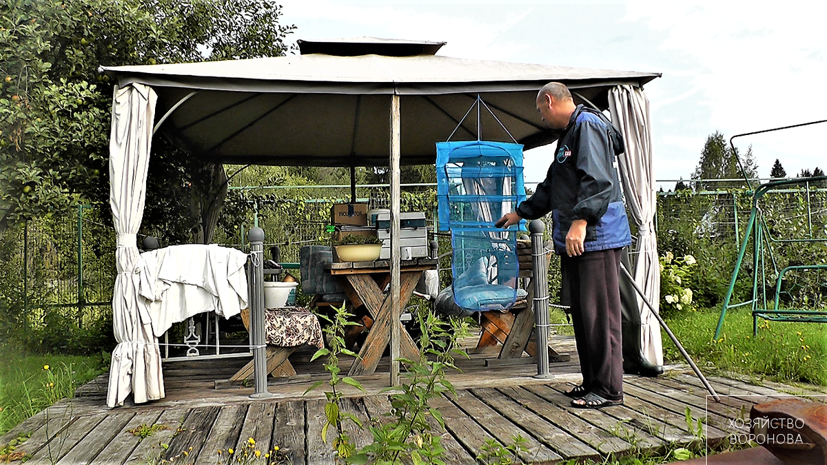 перед закладкой продуктов