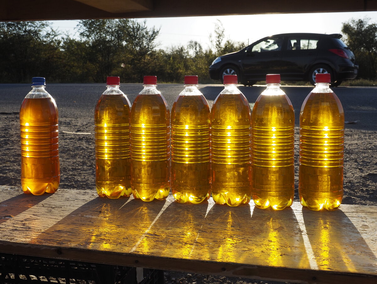 Фото: Дмитрий Рогулин / ТАСС 