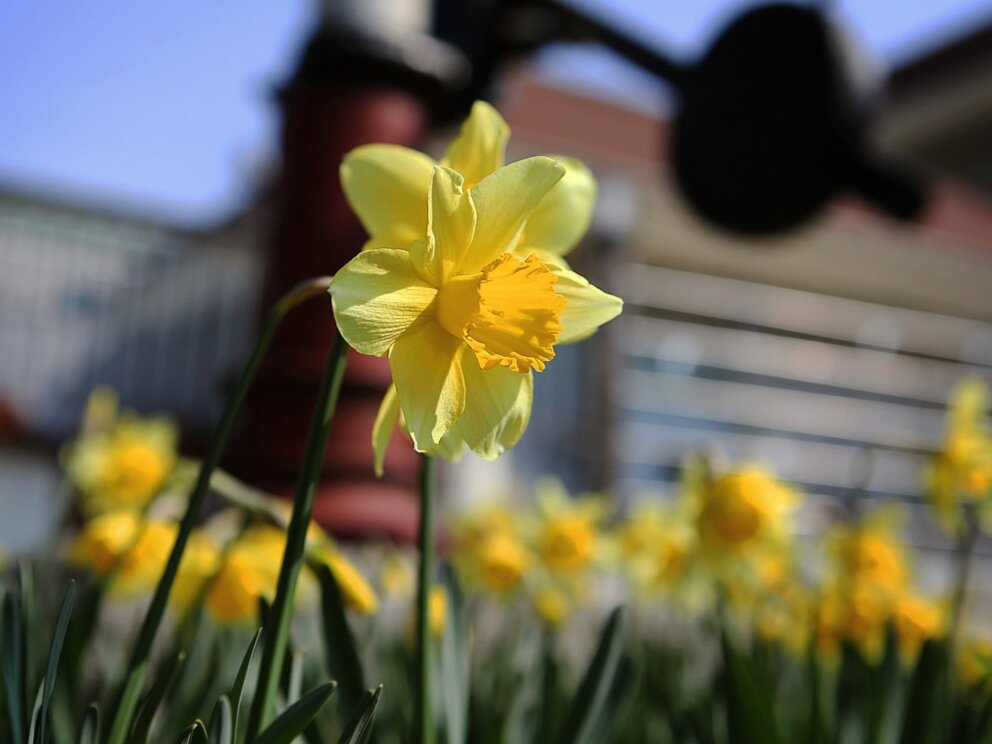 Фото: pixabay.com