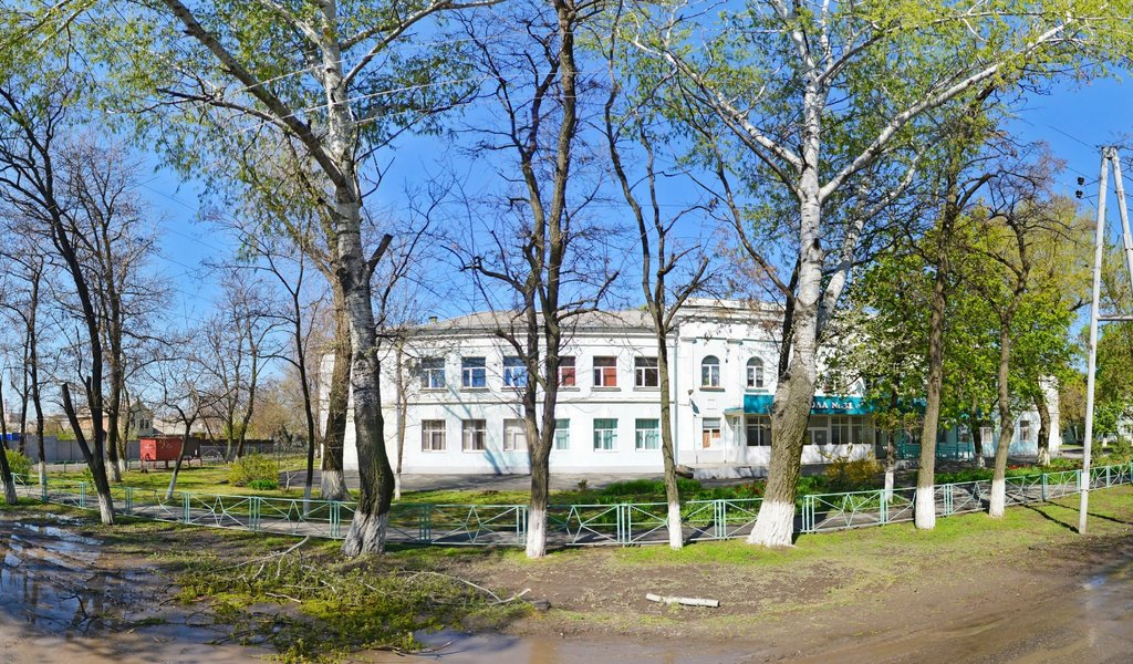 31 школа картинки