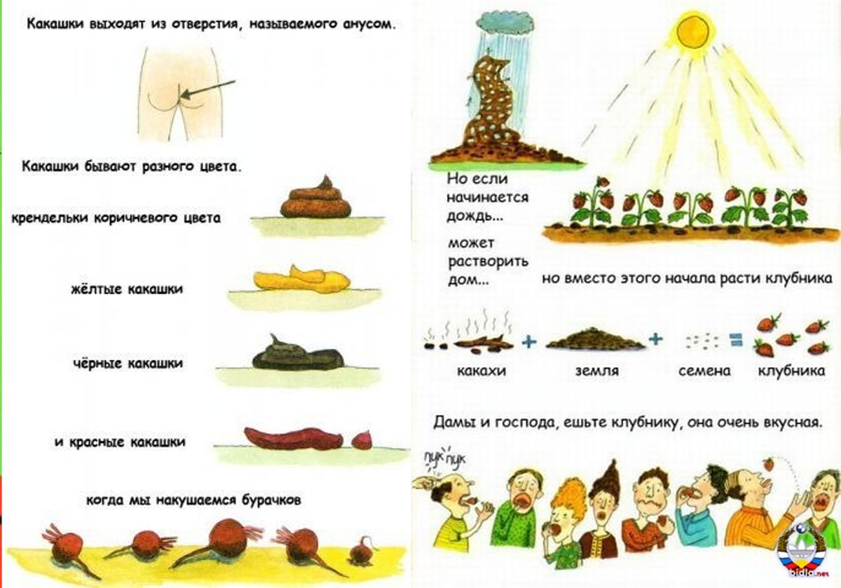 Детские книги о туалетных проблемах | Читалочка | Дзен