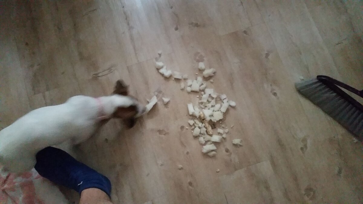 Эти штуки так классно жуются..