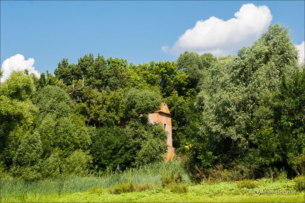 Здание в лесу