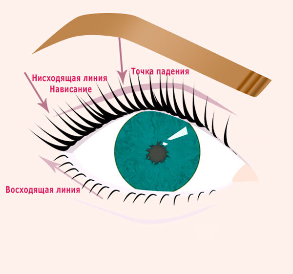 Нависшее веко схема наращивания ресниц