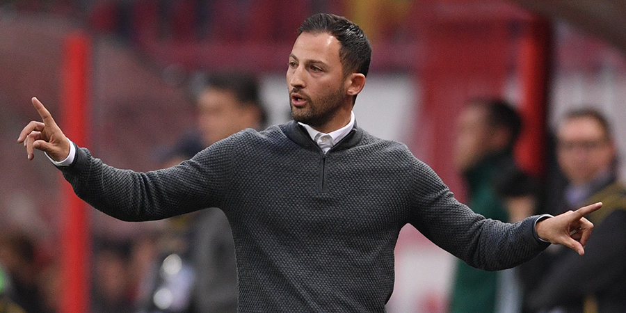 Фото из открытых источников.