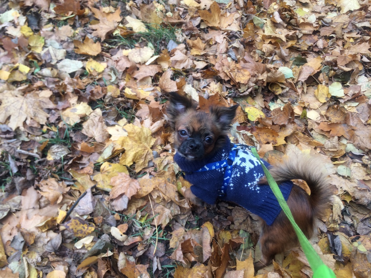 Здесь нам около 7 месяцев