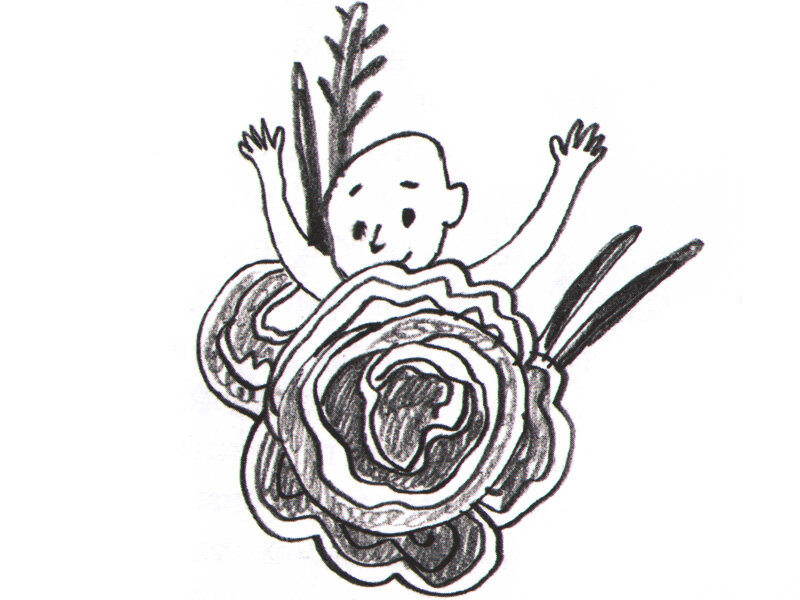 Иллюстрация из книги «Откуда берутся дети»