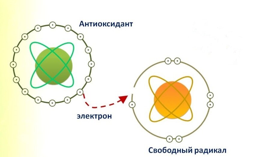 картинка с Яндекс ресурса