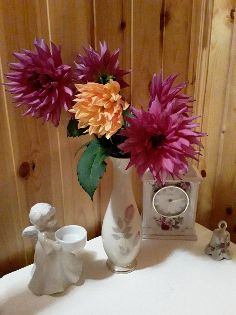 Последний привет. Срезка перед выкопкой клубней