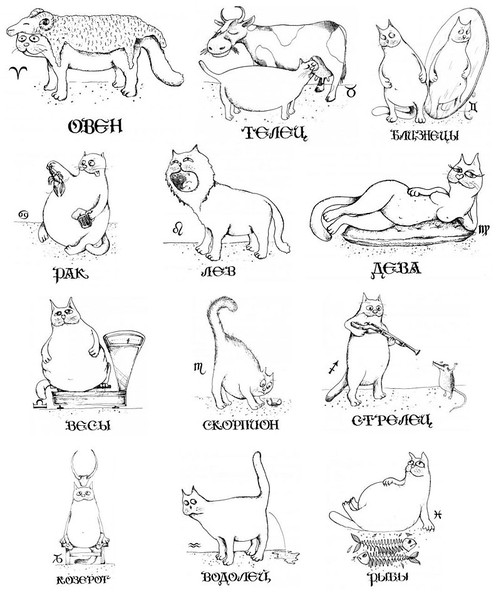 из открытых источников