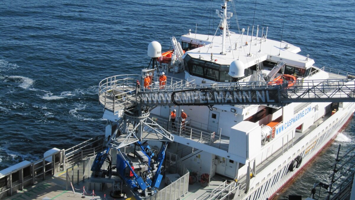 Картинка из интернета 