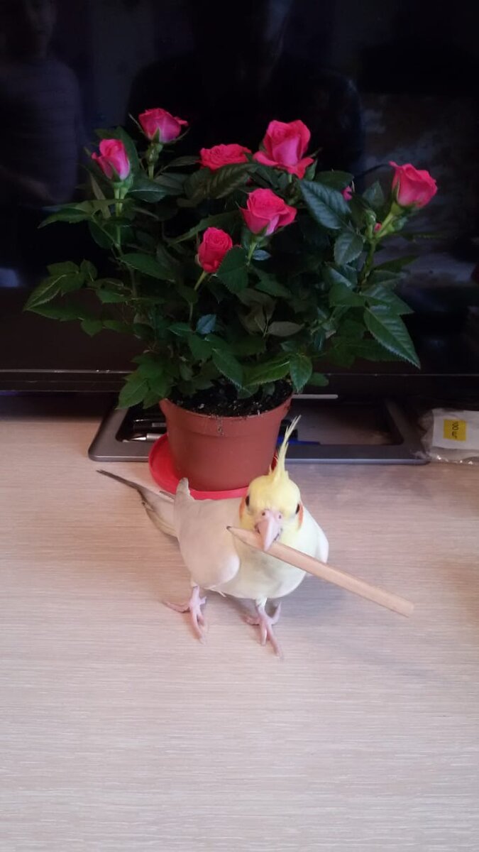 Пора делать уроки!