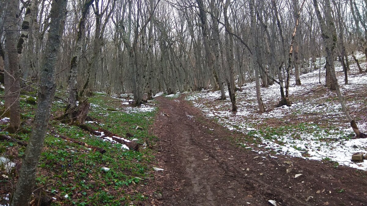 Граница зимы и весны