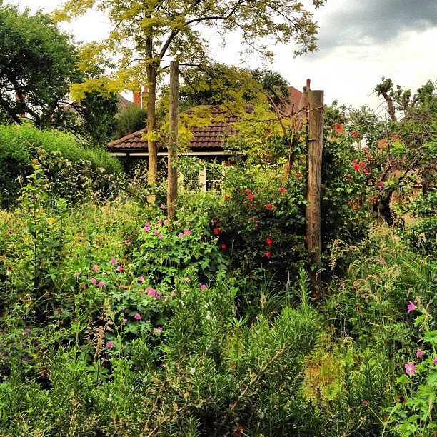 Загородная жизнь