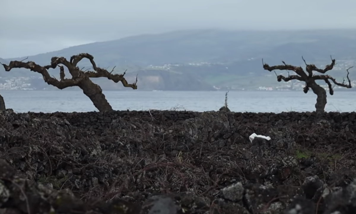 вулканические камни