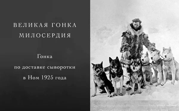 "Никто не забыт, ничто не забыто" О. Ф. Берггольц.
