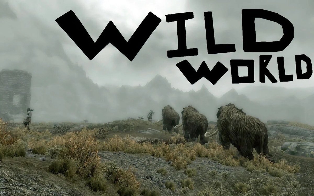 Wild World