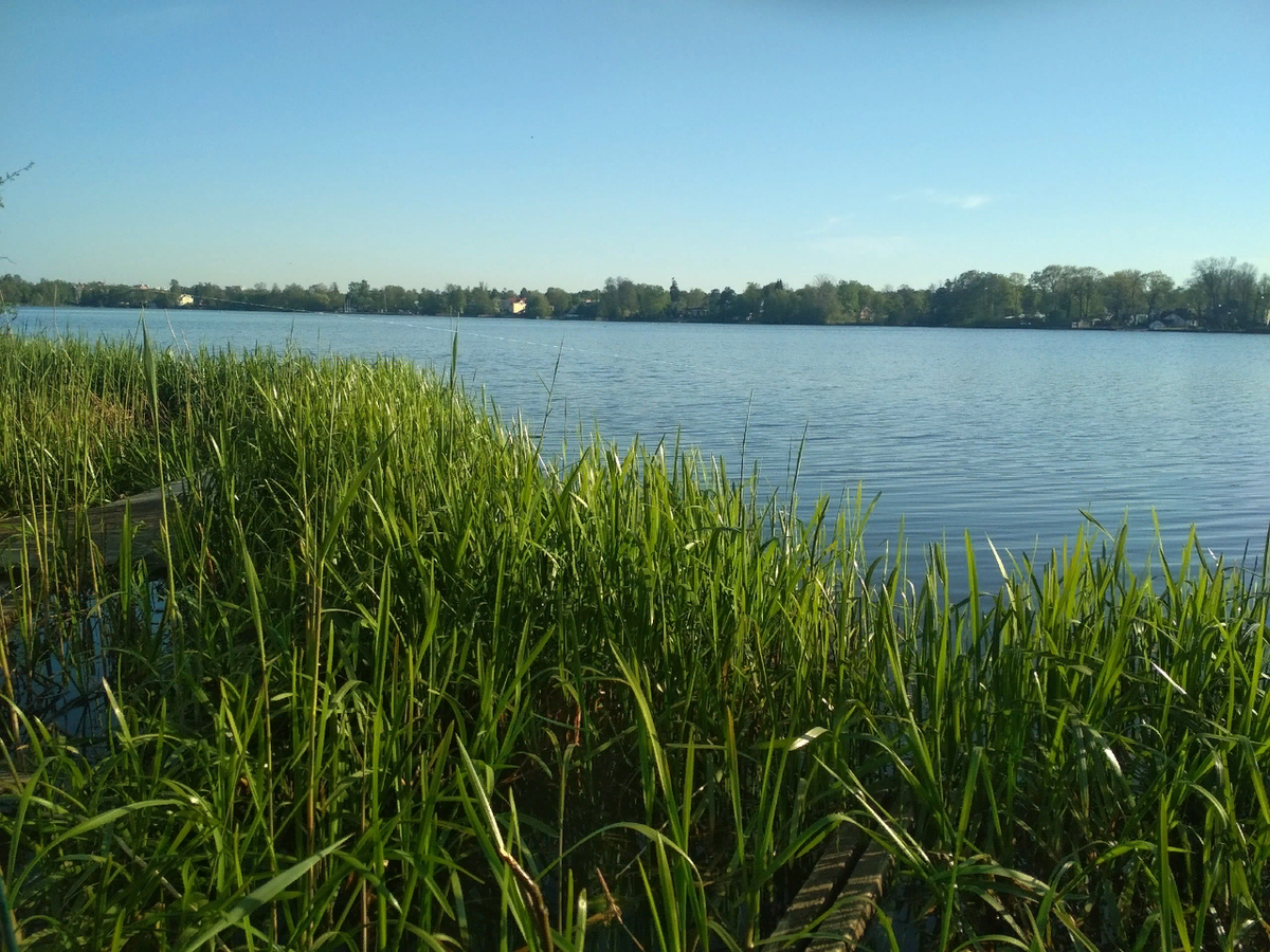 Вот такое шикарное место я выбрал для сегодняшней ловли