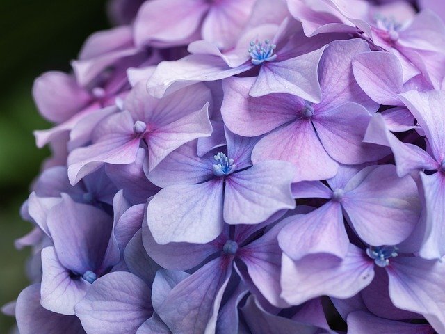 Pixabay License Бесплатно для коммерческого использования
Указание авторства не требуется