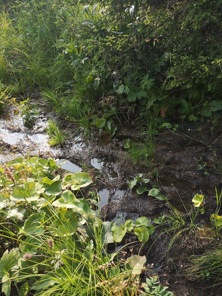 обойти невозможно