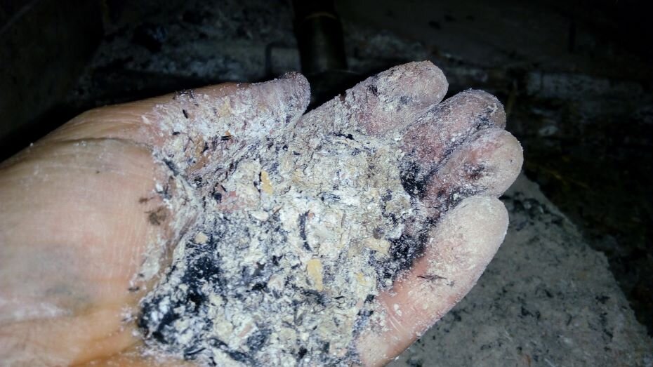 Зола. Фото автора  