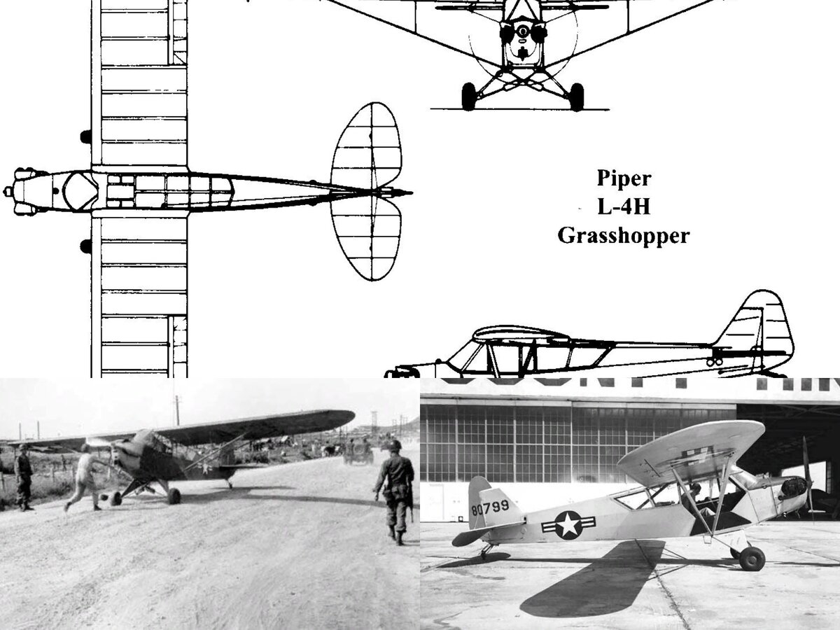 Piper L-4 Grasshopper 