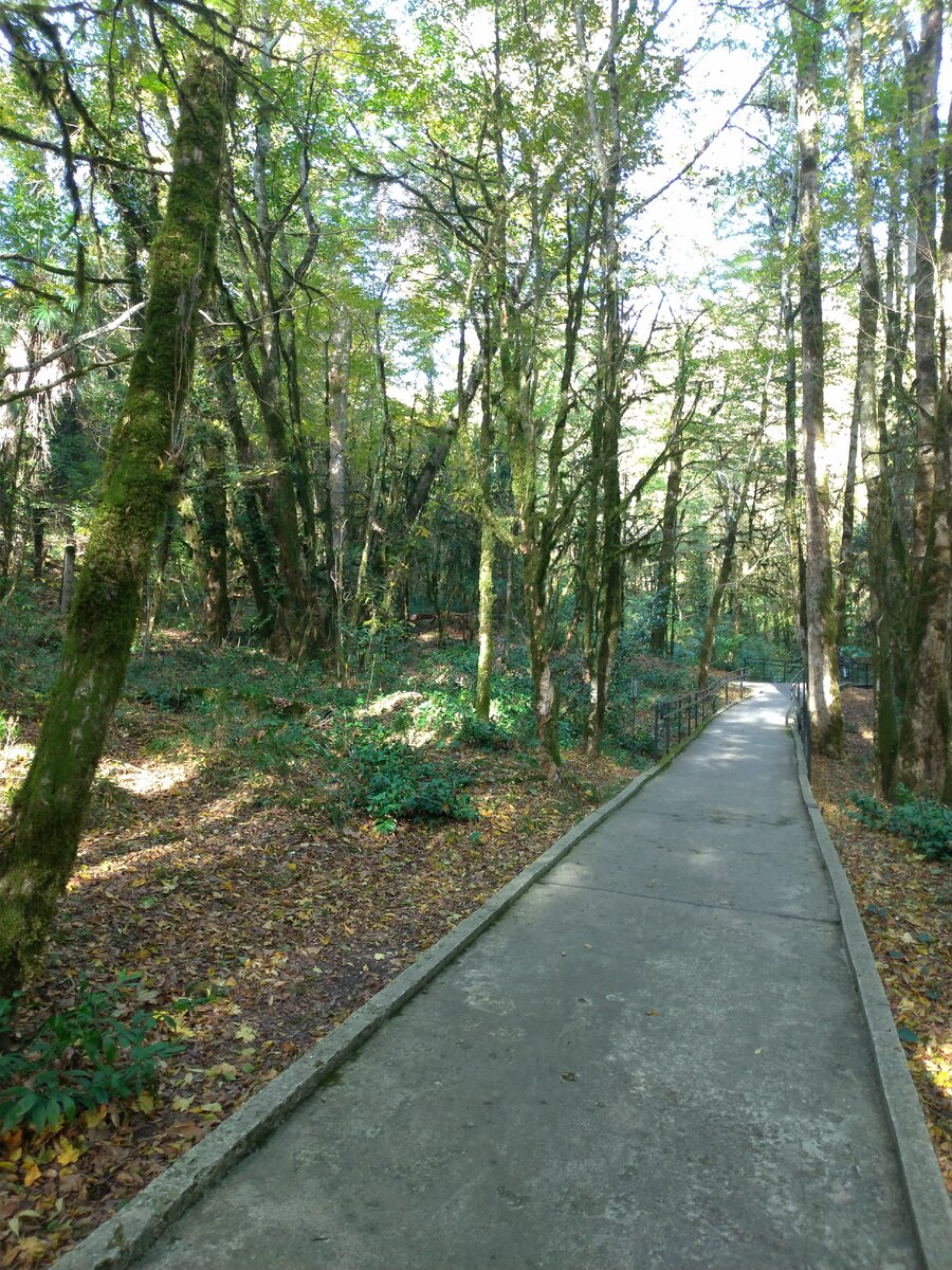 Такие дорожки для малого круга. Гуляй, наслаждайся! Очень много мест отдыха.