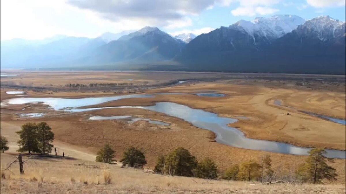 Баргуты в курумкане фото