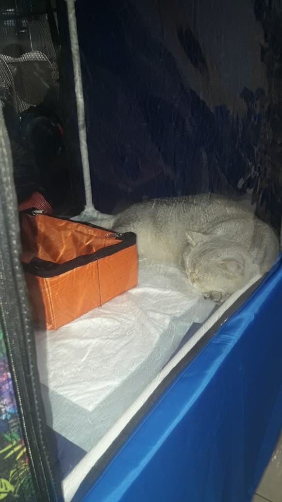 Фото из домашнего архива